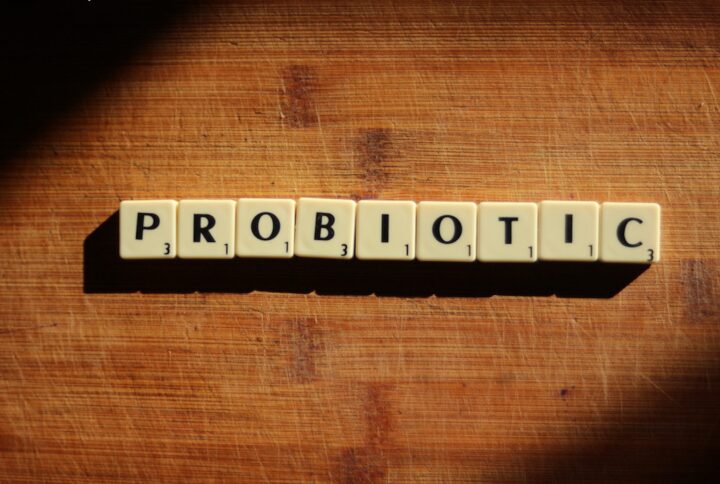 Probiotics for Cats, Types and Benefits of Probiotics