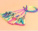 Rainbow Harness For Cats & Dogs - Image 4
