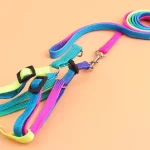 Rainbow Harness For Cats & Dogs