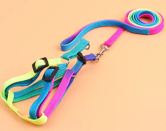 1710955361511.webp Rainbow Harness For Cats & Dogs - Image 1