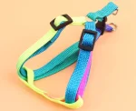 Rainbow Harness For Cats & Dogs - Image 3