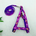 Nylon Harness With Leash For Cats & Puppies 🐱🐾 - Image 2