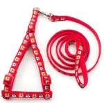 Nylon Harness With Leash For Cats & Puppies 🐱🐾