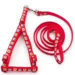 Nylon Harness With Leash For Cats & Puppies 🐱🐾
