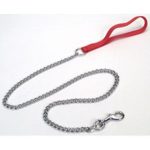 Chain Leash for Your Pet! 🐾