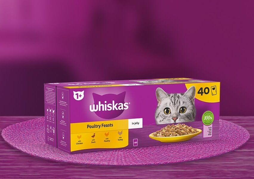 38571b24-1355-42a8-9663-0567a43c4038.__CR0,0,1464,600_PT0_SX1464_V1___ WHISKAS® Fish Favourites in Jelly 1+ Adult Wet Cat Food Pouches 85g - Image 1