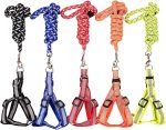 Reflective Dog Leash and Harness Set - Image 2