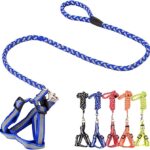 Reflective Dog Leash and Harness Set