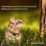 DIAMOND NATURALS KITTEN CHICKEN & RICE FORMULA - Image 5