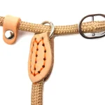 Adjustable Training Leash for Medium Large Dogs - Image 4