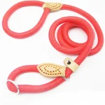 Adjustable Training Leash for Medium Large Dogs - Image 5