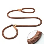 Adjustable Training Leash for Medium Large Dogs - Image 3