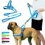 Dog Nylon Body Harness With Leash Strap Belt