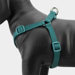 Dog Nylon Body Harness With Leash Strap Belt - Image 7