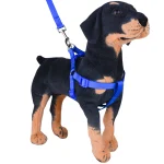 Dog Nylon Body Harness With Leash Strap Belt - Image 6