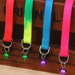 Rainbow Pet Collar with Bell - Image 4