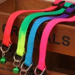 Rainbow Pet Collar with Bell - Image 5