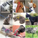 Premium Adjustable Cat Harness Leash Set - Image 11