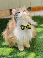 Printed Pet bows with bell adjustable - Image 3