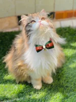 Printed Pet bows with bell adjustable - Image 2