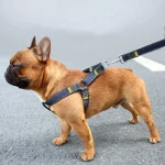 Harness with Leash-Adjustable Denim Dog Vest