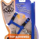 Premium Adjustable Cat Harness Leash Set