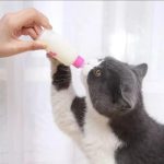 Pet Feeding Bottle Kit - Image 3