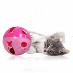 Plastic Ball Set Pet Toys (4 Pcs Pack) - Image 3