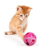 Pet Ball with Bell Toy (Pack of 4)