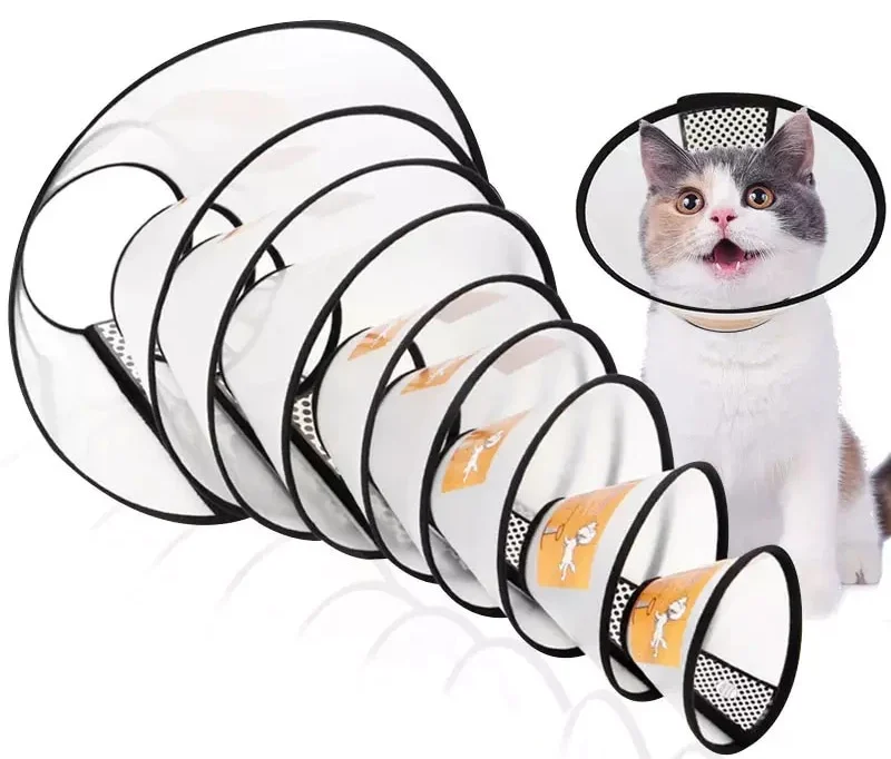 image_426ca779-4859-4c2e-99cb-799b5d94f275.webp E-Collar for Dogs/Cats - Puppy/Kitten - Image 1