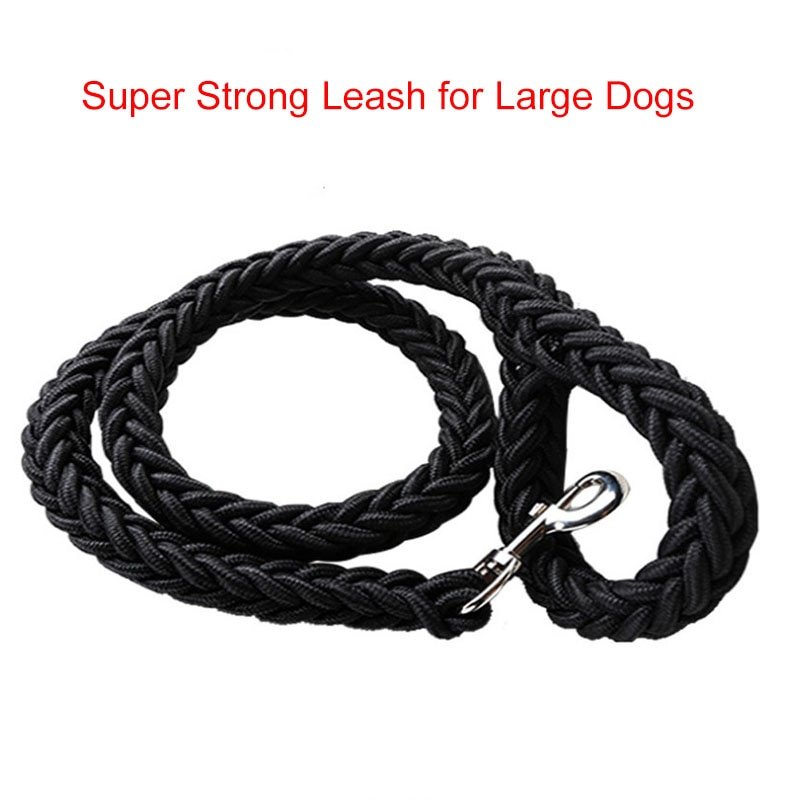 leash-1.jpg Pet Dog Collar Leash - Image 1