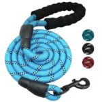 Reflective Heavy Duty Dog Leash with Soft Padded Handle 🐕