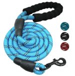 Reflective Heavy Duty Dog Leash with Soft Padded Handle 🐕