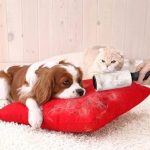 Pet Hair Lint Rollar - Image 5