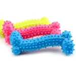 Bite Bone Dog Puppy - Image 2