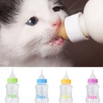 Kitten/Puppy Feeder