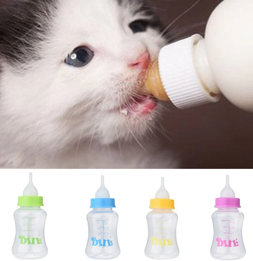 6Pcs-set-60ml-font-b-Water-b-font-Puppy-Kitten-Dog-Cat-Baby-Feeding-font-b Kitten/Puppy Feeder - Image 1