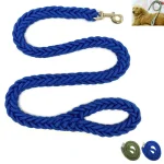 Braides dog Leash - Image 2
