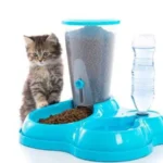 Cat Dog Automatic Feeder Drinking Dispenser