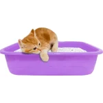 Large Litter Tray with Free Scoop Adult Large Cats - Image 2