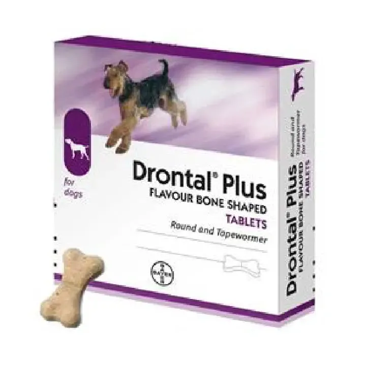 Premarket Pet Products Drontal P Pet Store in Karachi – Premium Pet Supplies & Accessories
