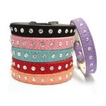 Frenchie World Natural Leather pet Collar