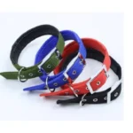 Dog Soft Collar