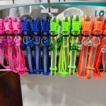 Cat Collars