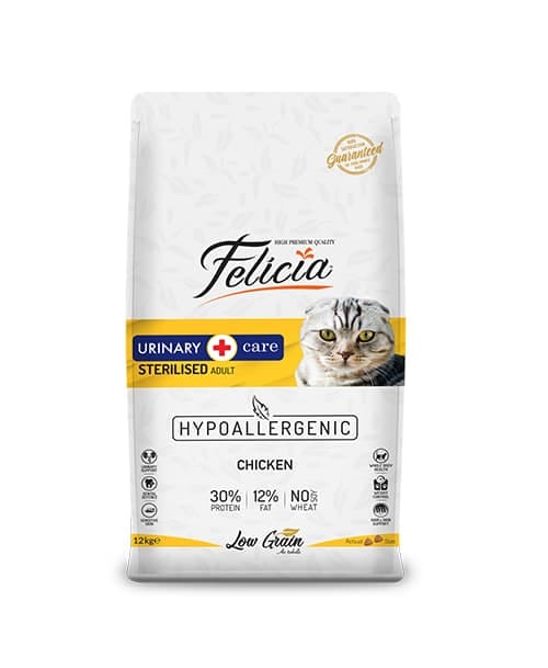 WhatsApp-Image-2025-01-31-at-7.47.41-PM.jpeg Felicia Kitten & Mother Chicken Care Selection - Image 1