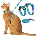 Cat leash harness