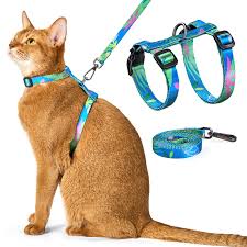 images.jpg Cat leash harness - Image 1