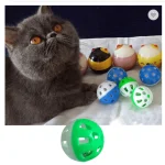 jingle ball cat toy
