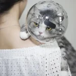 Cat Space Hood – Anti Bite - Image 5