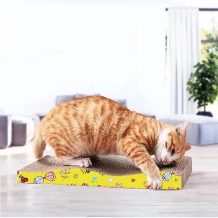 Durable Cat Scratching Board Bed Type | PetFusion.pk